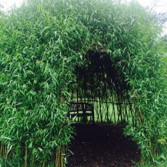 Meet your Posher, Claudia - Picture 1 of 1